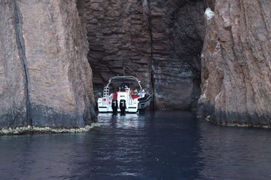 Calvi to Scandola: 4-Hour Boat Tour - Leaving Calvi aboard the Santa Regina