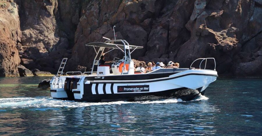Calvi to Scandola: 4-Hour Boat Tour - Entering the Scandola Nature Reserve