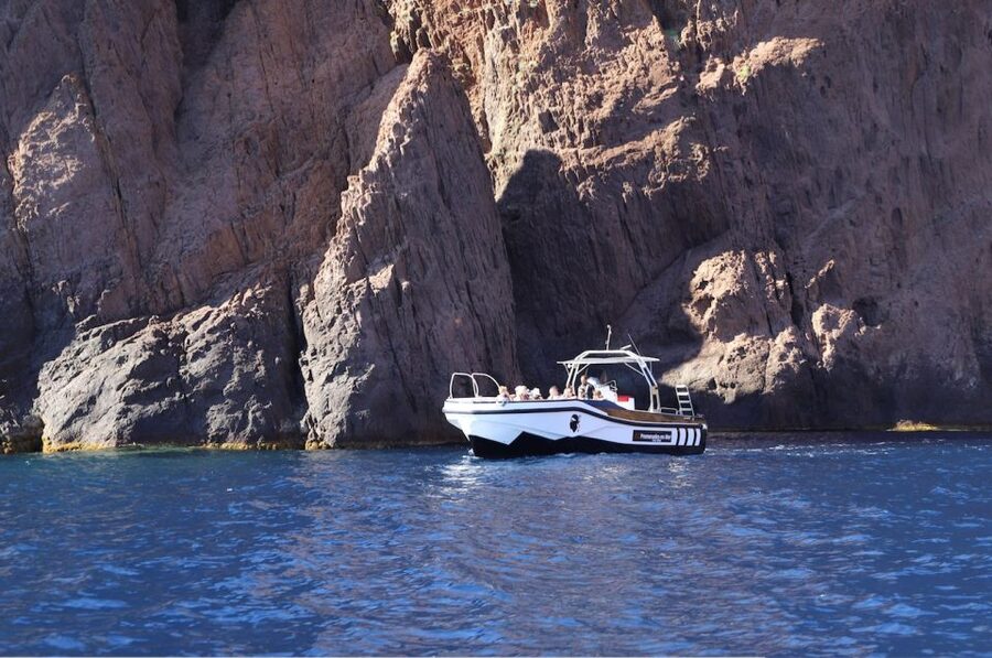 Calvi to Scandola: 4-Hour Boat Tour - What the $105 price gets you