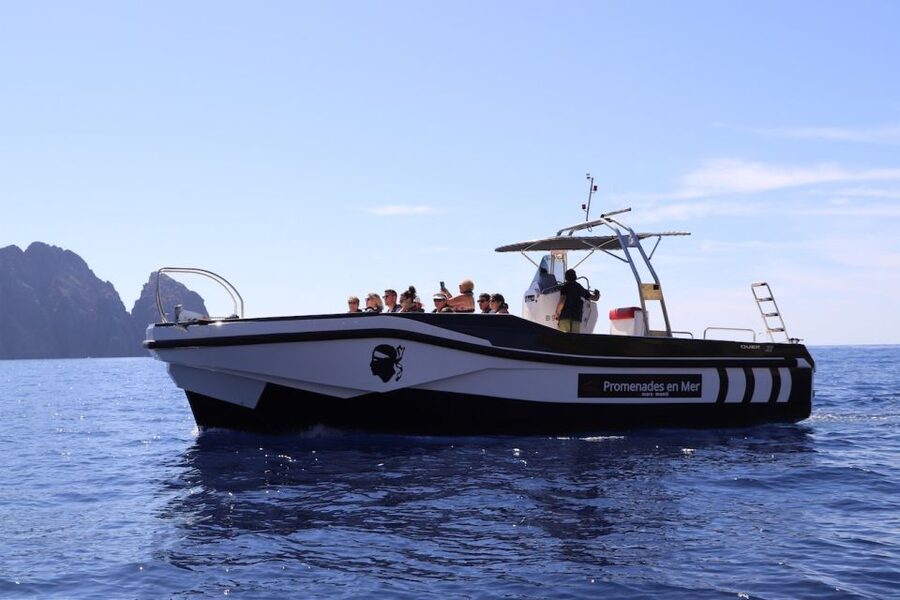 Calvi to Scandola: 4-Hour Boat Tour - What to pack for four hours on the water