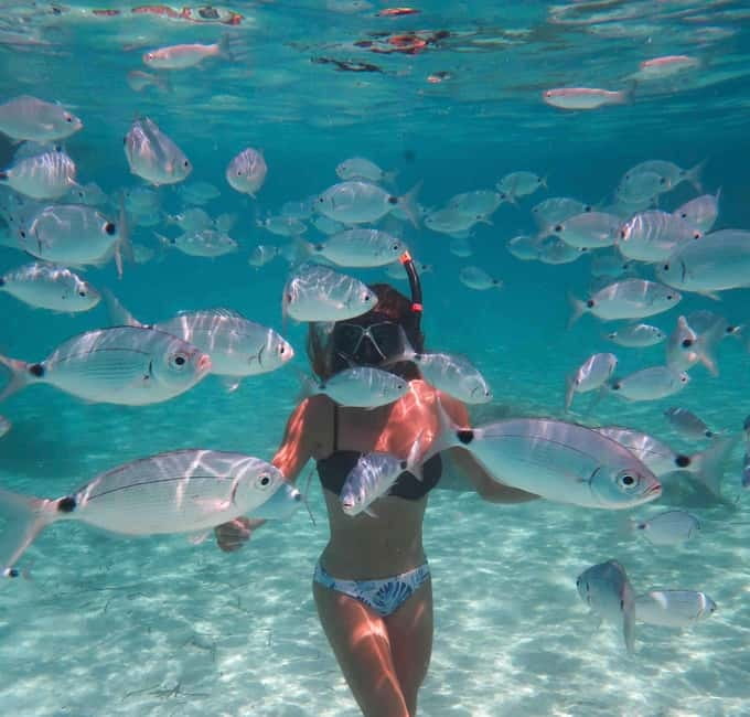 Calvi: Underwater journey at the edge of a natural reserve - Starting from Le Thalassa in Calvi Harbor