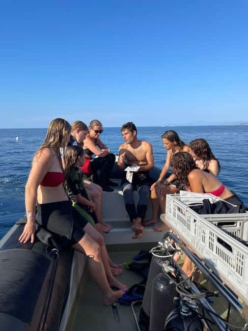 Calvi: Underwater journey at the edge of a natural reserve - What you might see beneath the surface