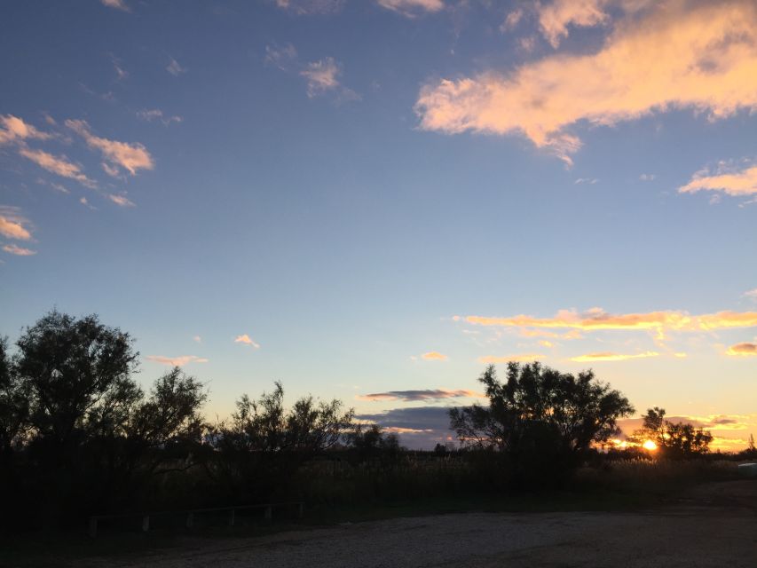 Camargue: Safari from Saintes-Maries-de-la-Mer - Who should book this 4x4 outing?