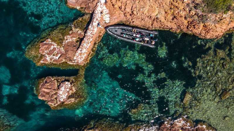 Cannes: 2.5-Hour Esterel Calanques Boat Excursion - From Port du Béal to the open sea