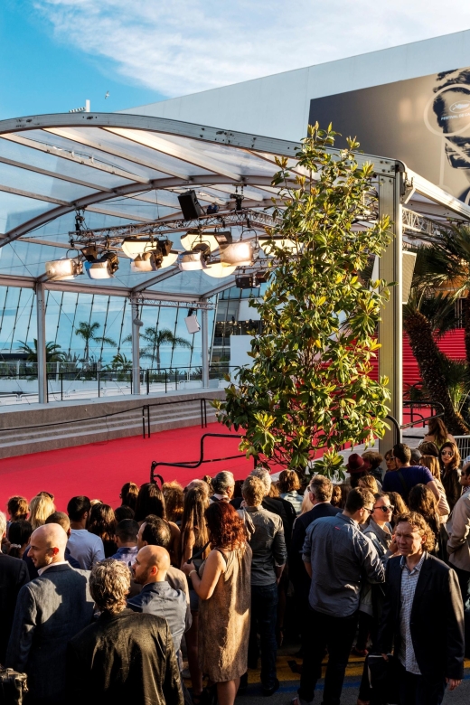 Cannes: City Tour in a Vintage Bus - Practical limits you should know before booking