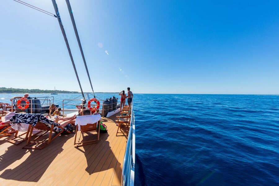 Cannes: Half-Day Catamaran Cruise with Lunch - Key points to know before you book
