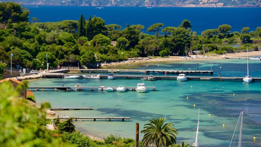 Cannes: Private Boat Trip to Lerins Islands & Cap d'Antibes - Key points to know before you book