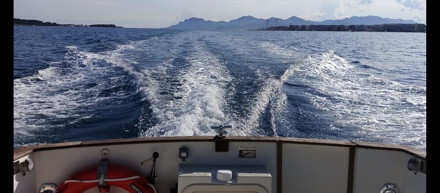 Cannes: Private Boat Trip to Lerins Islands & Cap d'Antibes - Price, group size, and the real value
