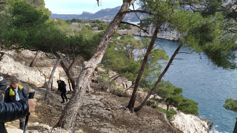 Cassis: 3 Calanques Half-Day Hiking Tour with Swimming - Practical Details Before You Go