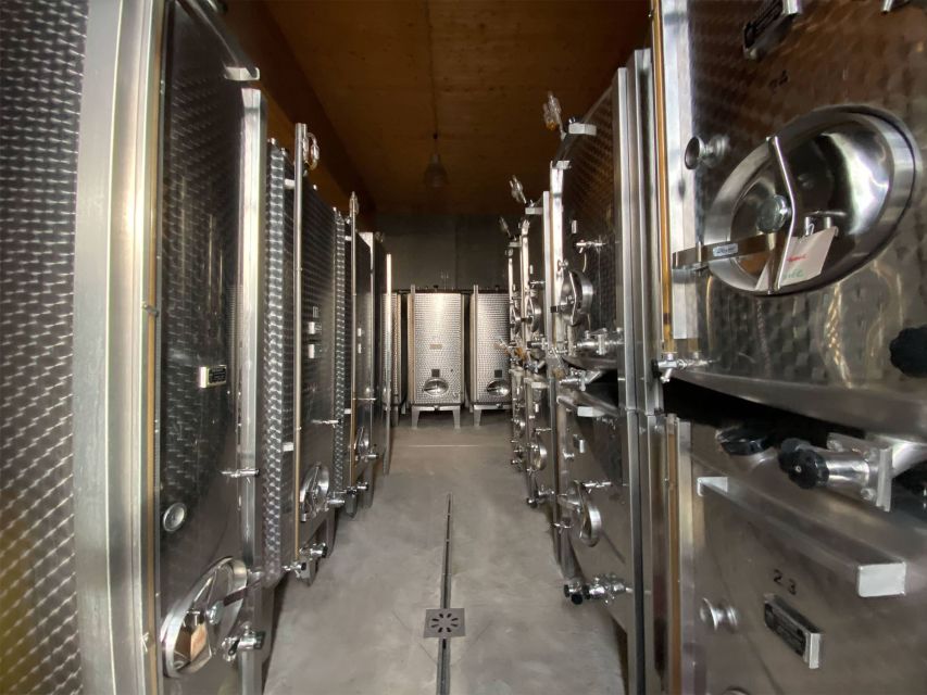 Cellar visit and Alsace wine tasting with a feminine touch - Muriel’s place in seven generations of winemaking
