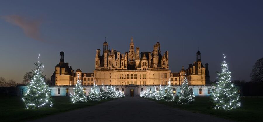 Chambord: Entry Ticket to the Castle - The double-helix staircase is the essential stop
