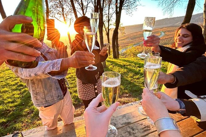 Champagne and Reims Tasting Day Trip from Paris - Hautvillers, Dom Pérignon, and the vineyard views