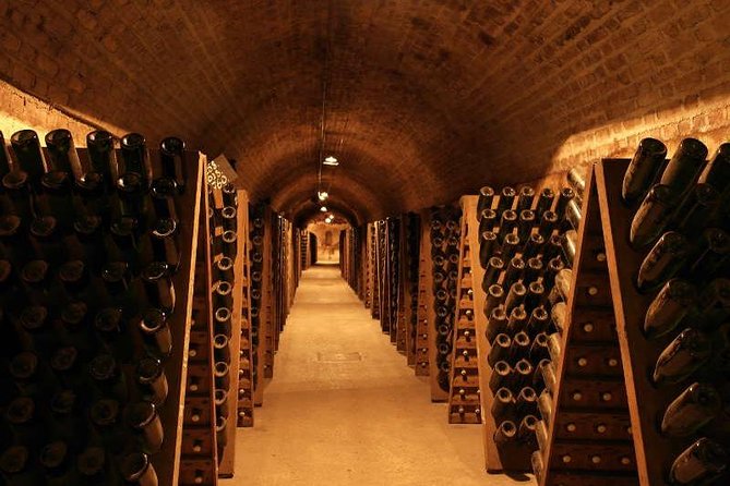 Champagne and Reims Tasting Day Trip from Paris - Reims and Notre-Dame Cathedral