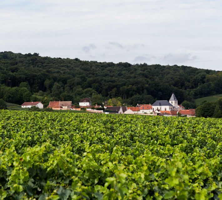 Champagne: Canard-Duchêne Champagne House Tour - The chapel and Simon-Marq stained glass