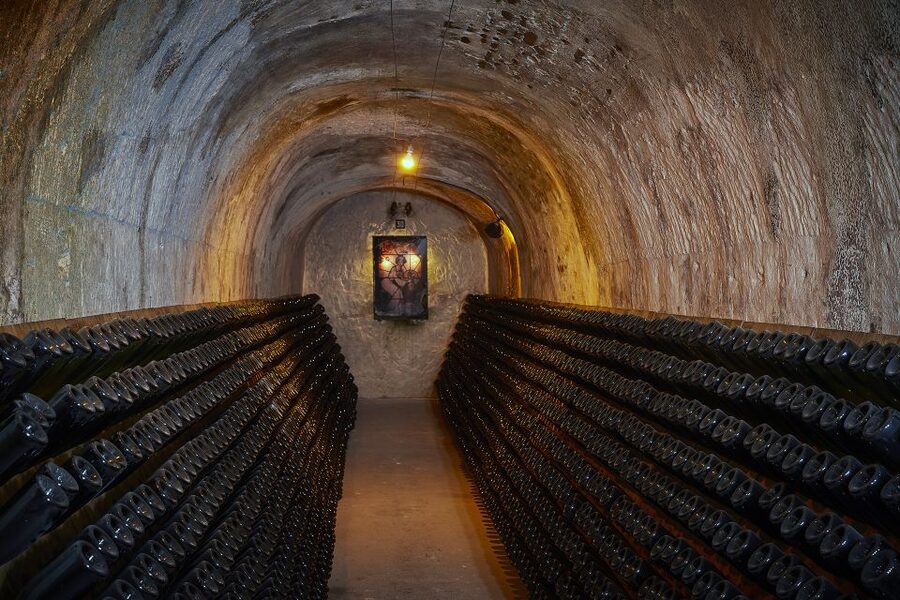 Champagne: Canard-Duchêne Champagne House Tour - The one-hour route from vineyard to bottle