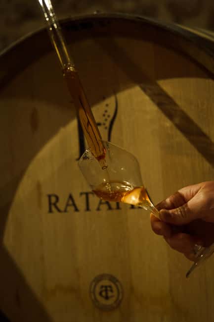 Champagne Cellar Experience: Explore our historic cellars - Tasting three champagnes and one Ratafia