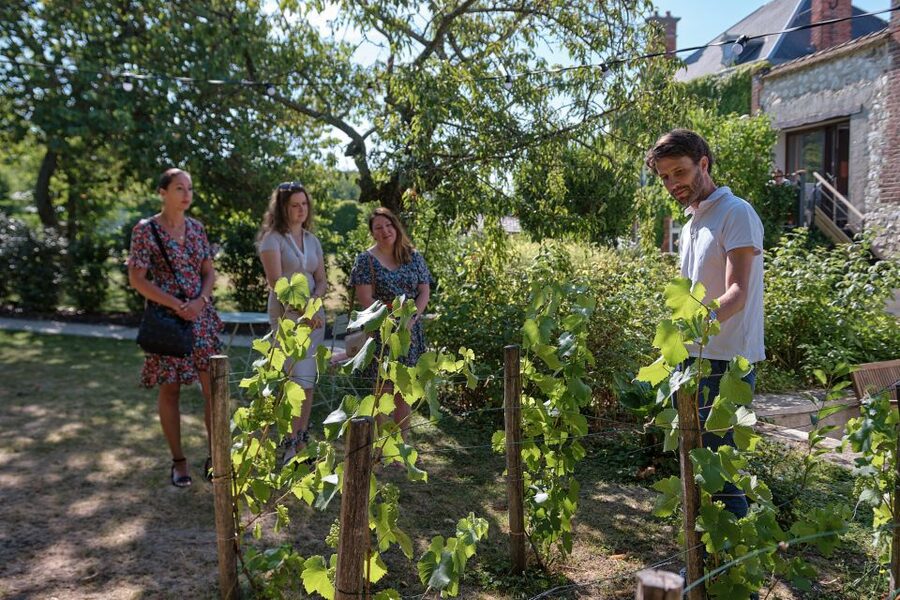Champagne: Champagne Tasting Class with Lunch - Is $106 a fair price?