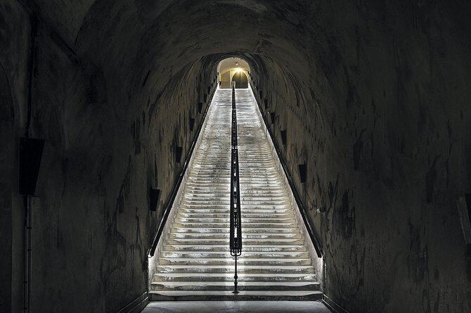 Champagne Day Trip from Reims including 9 Champagne Tastings - What the guide adds to the day