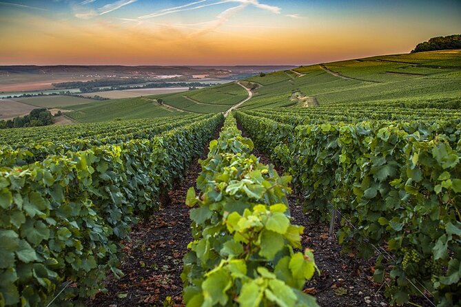 Champagne Day Trip from Reims including 9 Champagne Tastings - Is $290.36 a fair price?