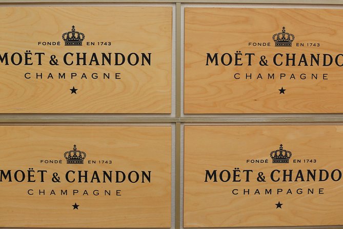 Champagne Day Trip with 6 Tastings, Reims and Winery from Paris - Walking among Champagne’s Chardonnay and Pinot Noir vines