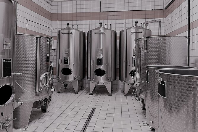 Champagne Munoz Bruneau : Half Day Visit and Tasting - From Épernay to the hills above Hautvillers