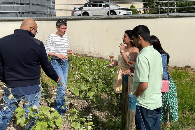 Champagne Munoz Bruneau : Half Day Visit and Tasting - Three champagnes, tasted with context
