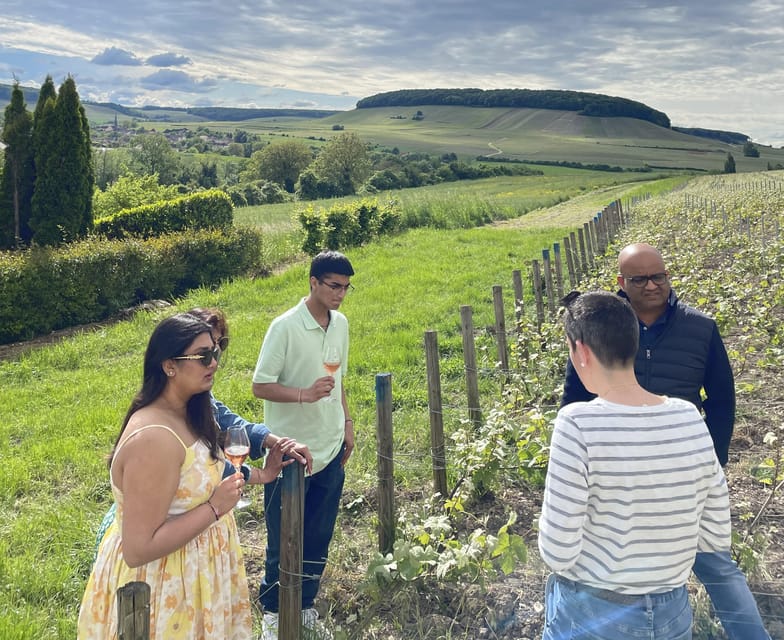 Champagne Munoz Bruneau : Half Day Visit and Tasting - Who will enjoy this half-day visit?