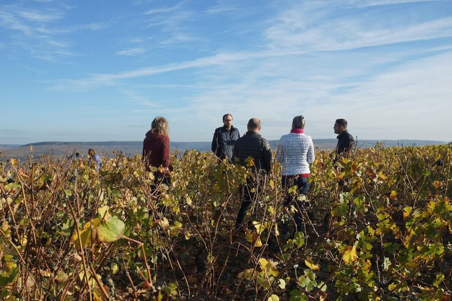 Champagne Vineyard Experience: Delve into the terroir - Learning how soil shapes each cuvée