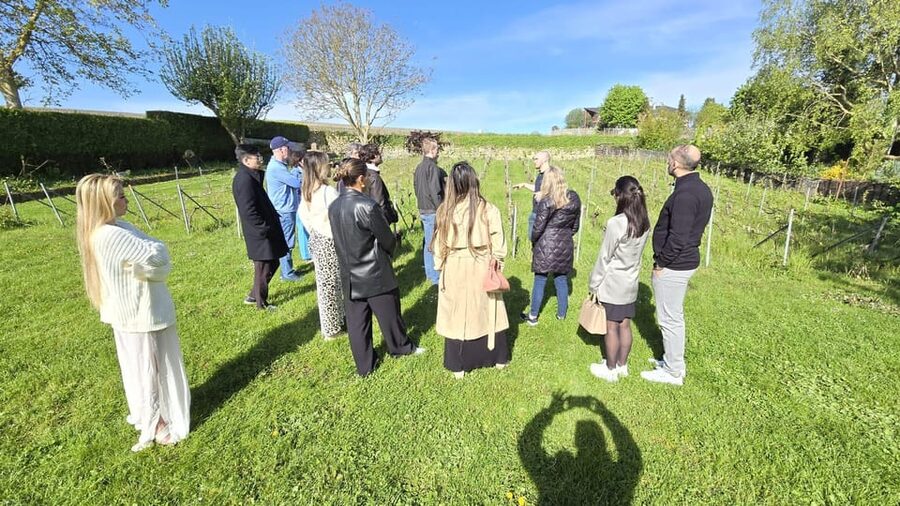 Champagne Vineyard Experience: Delve into the terroir - Is $28 a fair price?