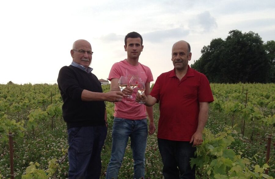 Château du Bois-Huaut: Cellar Tour and Wine Tasting Class - Inside the cellar with a guide