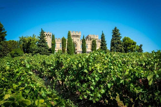 Chateauneuf du Pape wine tour - Stop one: reading the vineyard soil
