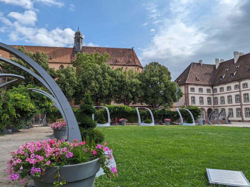 Colmar: Highlights Walking Tour and Wine Tasting - The winery stop and the Alsace white wine lesson