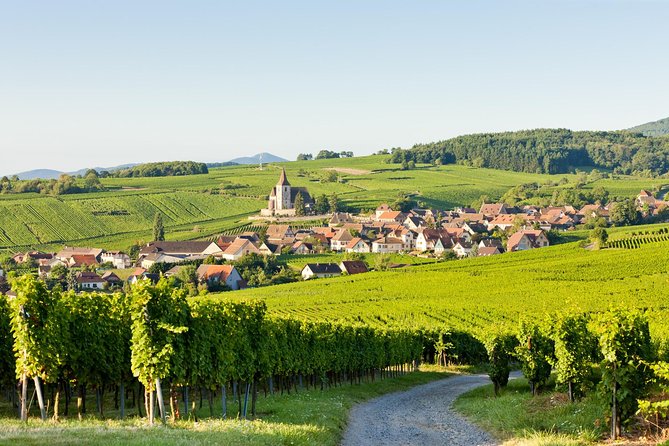 Colmar, Medieval Village & Castle Small Group from Strasbourg - Riquewihr: medieval walls and free time