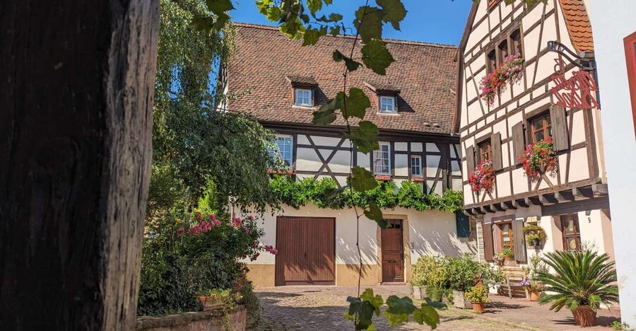 Colmar: Unusual Walking Tour with a local guide - Starting at the Bruat Fountain