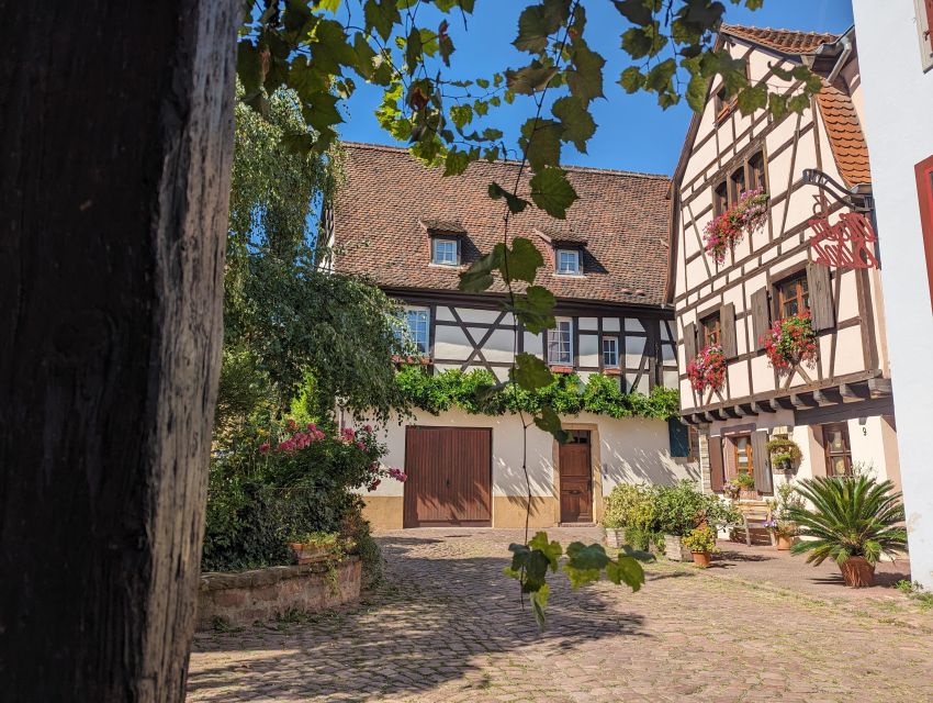 Colmar: Unusual Walking Tour with a local guide - Petite Venise without the standard postcard route