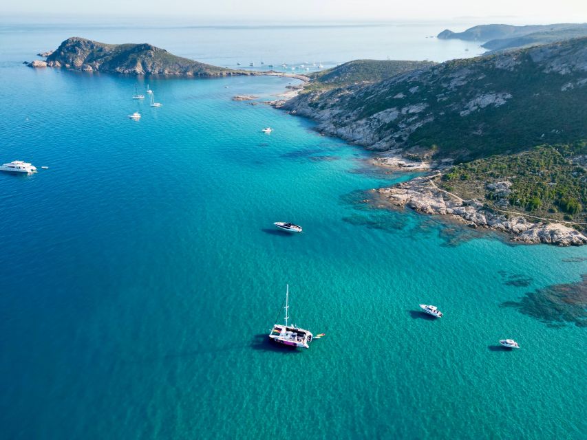 Côte d'Azur: Half-Day Coastline Catamaran Sailing Tour - Practical details that make the day smoother