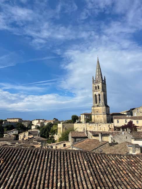 Côte de Beaune Half-Day Wine Tour from Dijon - First winery tasting: getting oriented with Burgundy wine