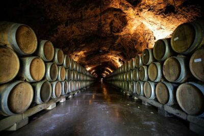 Côte de Beaune Half-Day Wine Tour from Dijon