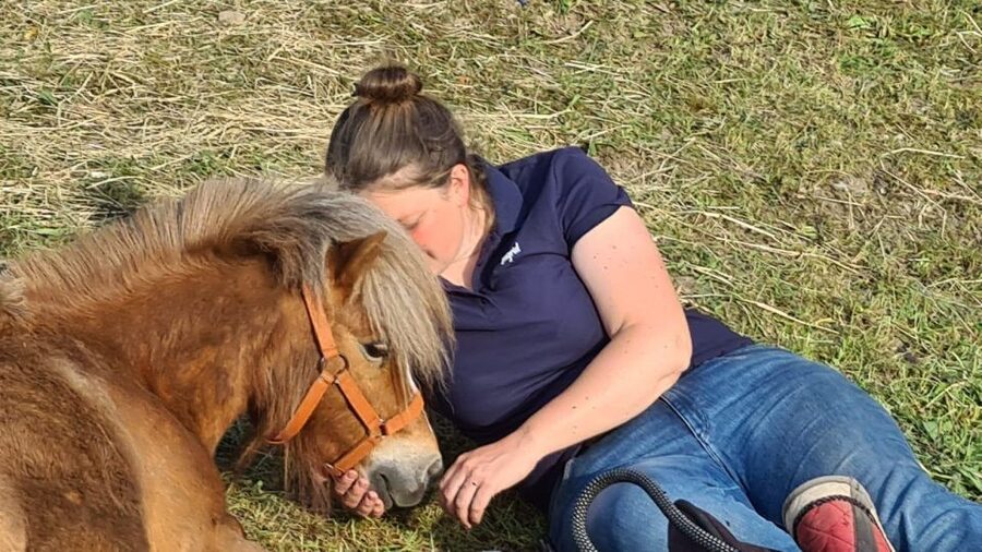 Cruseilles: Horseback Riding in the Countryside - Key points to know before you book