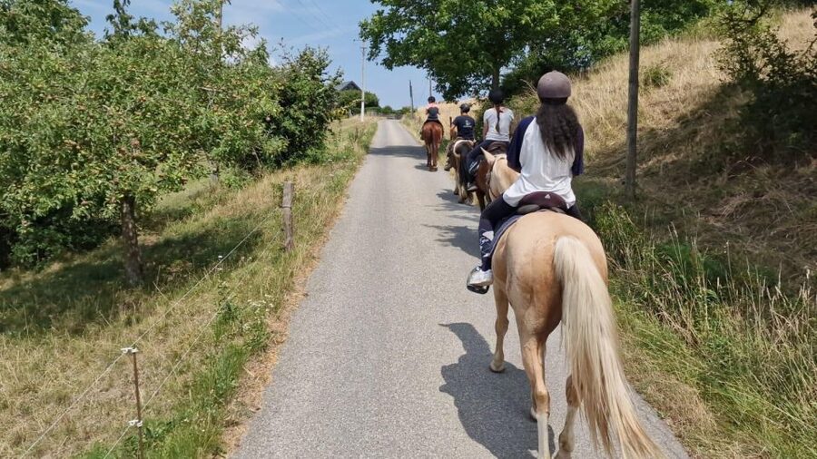 Cruseilles: Horseback Riding in the Countryside - Should you book the Cruseilles horseback ride?