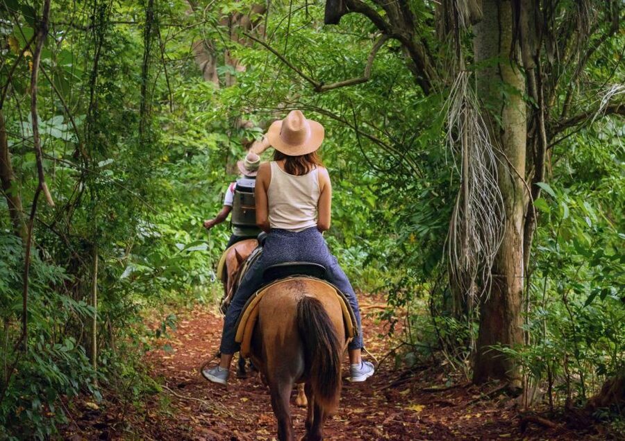 Cruseilles: Horseback Riding in the Countryside - What the one-hour route can include