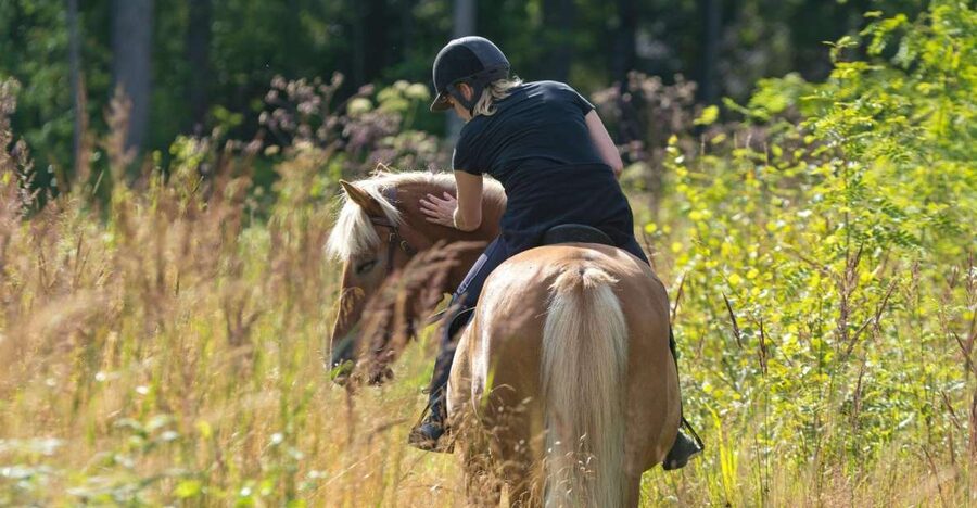 Cruseilles: Horseback Riding in the Countryside - Who will enjoy this ride most?