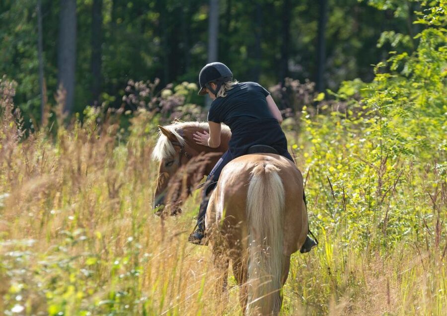 Cruseilles: Horseback Riding in the Countryside - Practical tips for a smoother ride