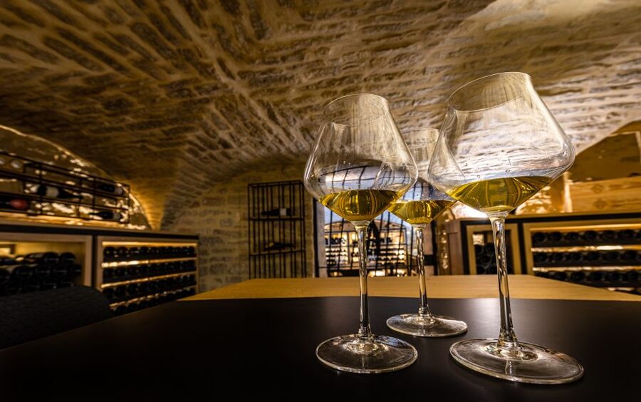 Dijon: La Cave du Palais Burgundy Wine Tasting Experience - Why climates matter more than the label suggests