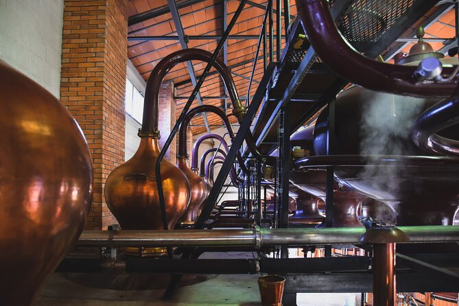 Discover Braastad Cognac - From grapes to wine and distillation