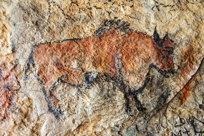 Dordogne Day Tour : Prehistory and The Art of the Caves from Sarlat - Is the $199.55 price fair?