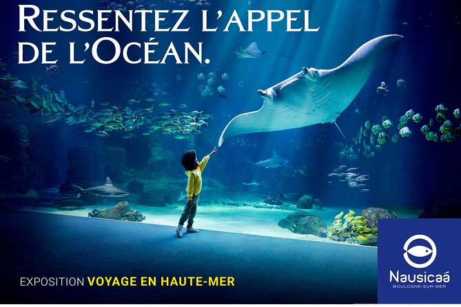 Entrance Ticket Nausicaa, the biggest aquarium in Europe - What you actually see at Nausicaá