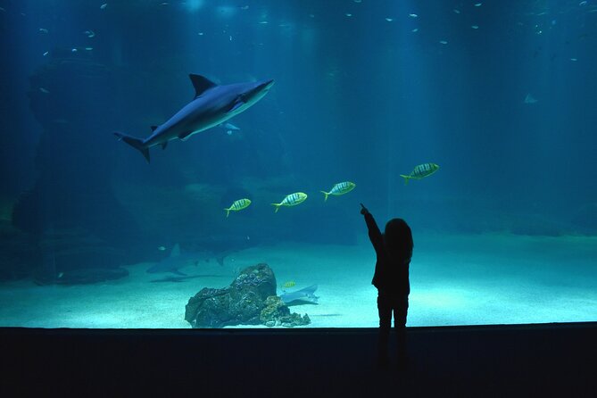 Entrance Ticket Nausicaa, the biggest aquarium in Europe - Why the environmental exhibits matter