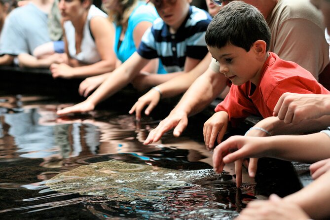 Entrance Ticket Nausicaa, the biggest aquarium in Europe - Who will enjoy this aquarium most?