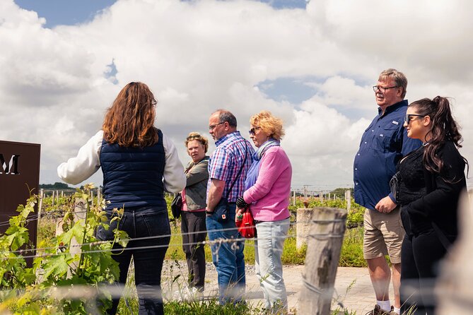 Essential Wine Tour with Tasting & Chateau Visits from Bordeaux - Pessac-Léognan or Médoc, depending on the day